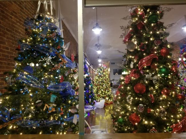 festiv-trees-me