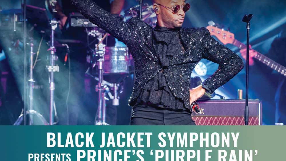dixie-prince-2