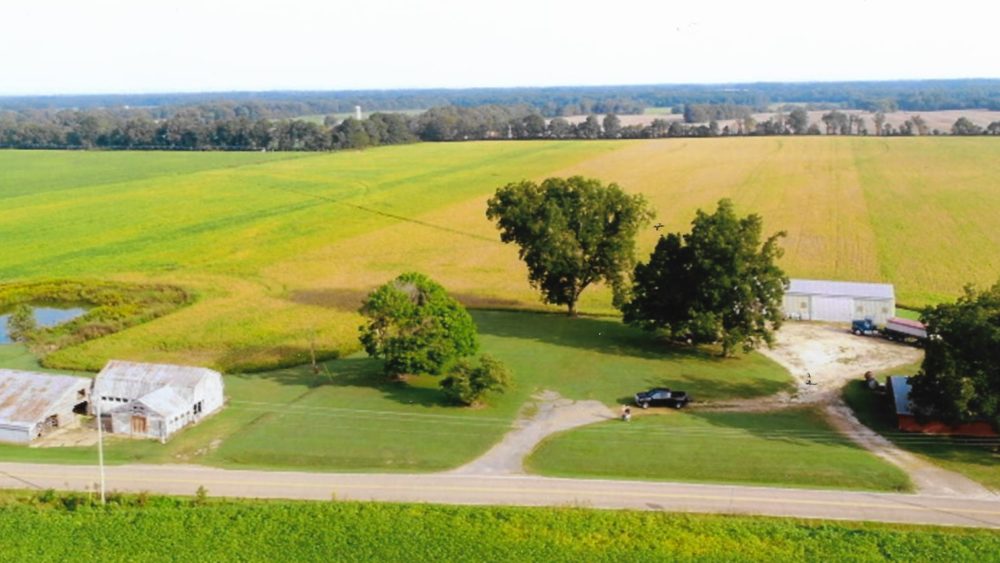 sims-farm