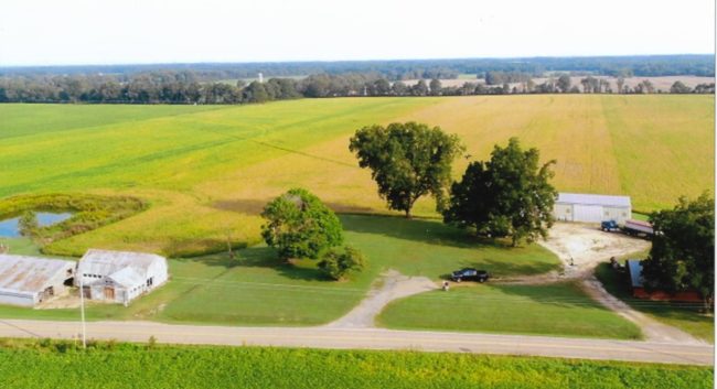 sims-farm