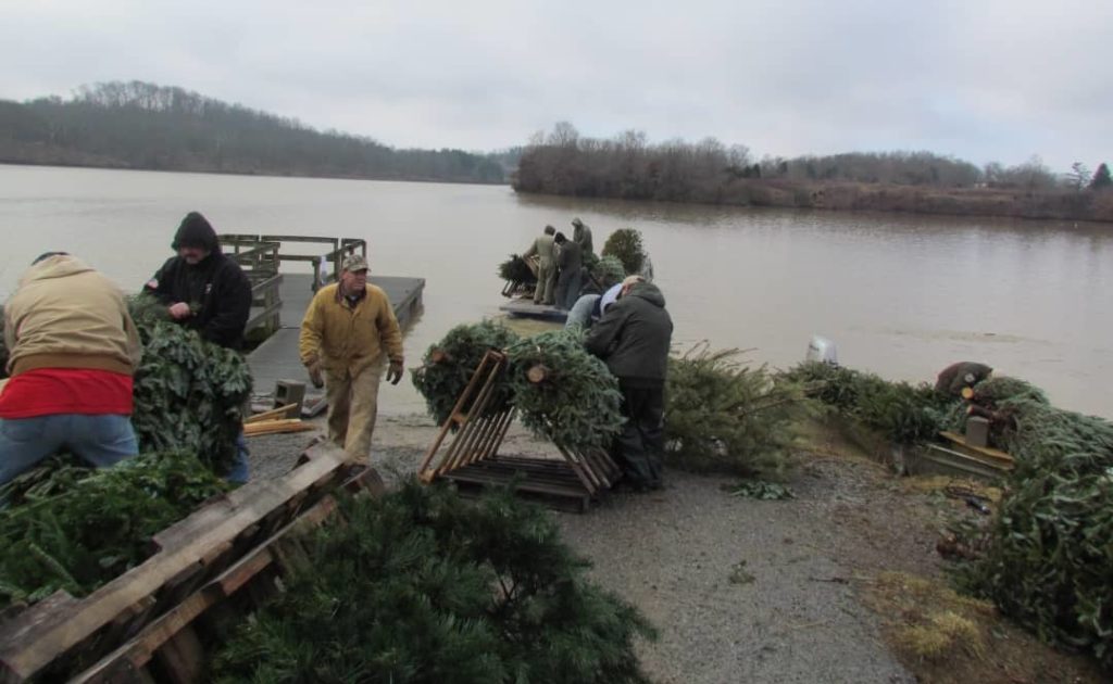 Recycle Your Christmas Trees As Fish Habitats radio NWTN