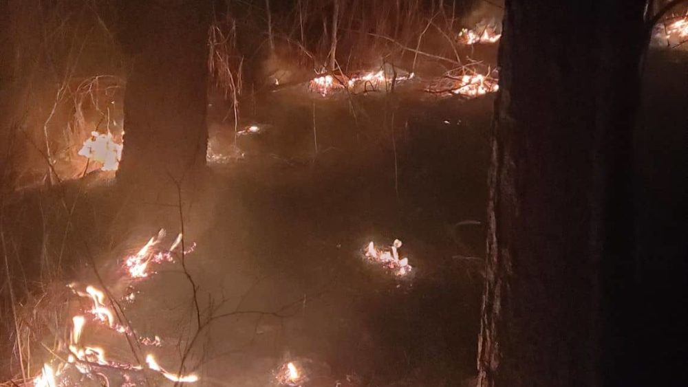 oakland-grass-fire
