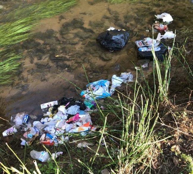 paris-parks-trash