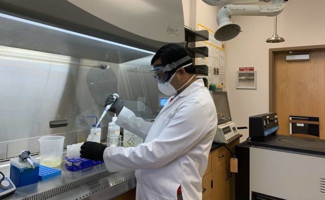 msu-labs