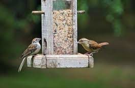 birdfeeder-shutter