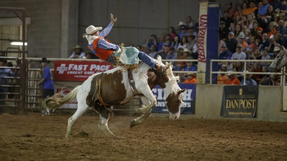 utm-rodeo-3