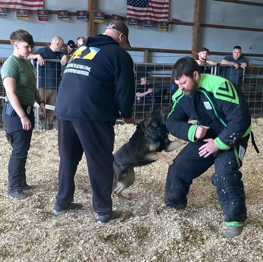 hc-sher-dog-school