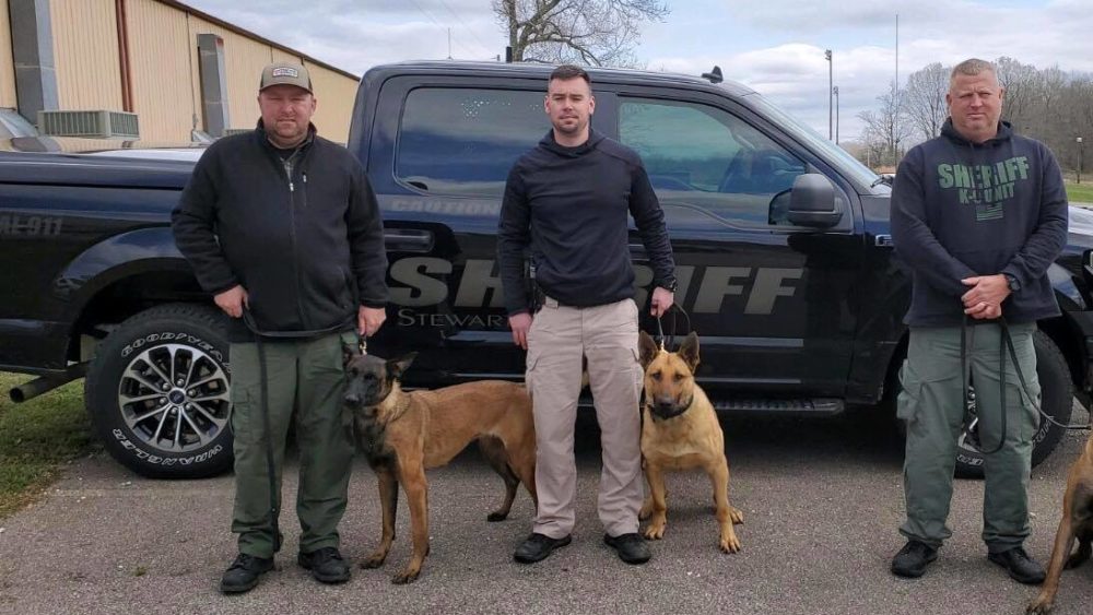 stew-co-k9-teams