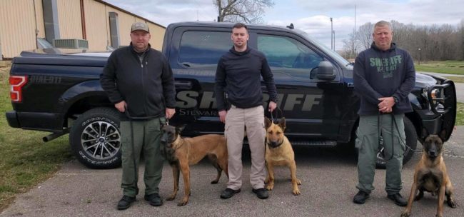 stew-co-k9-teams