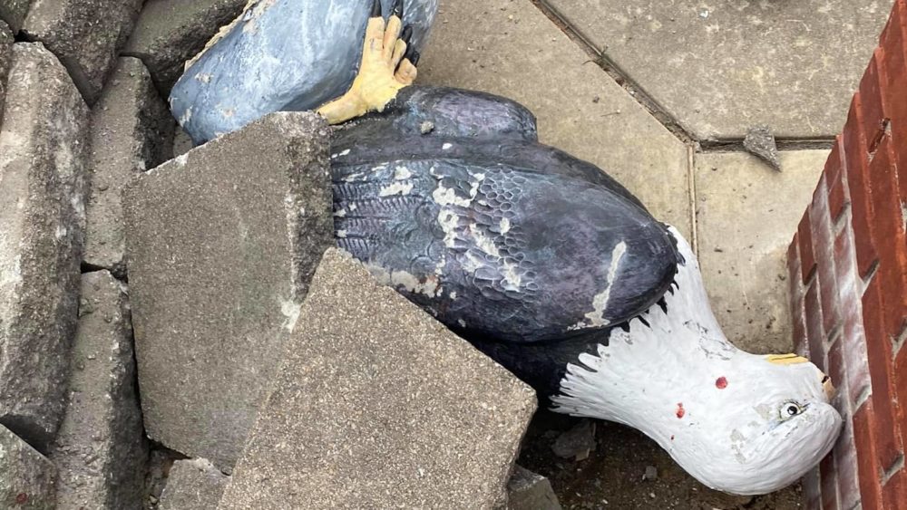 murray-eagle-vandal