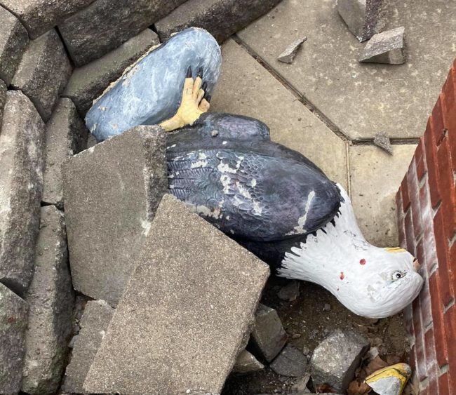 murray-eagle-vandal