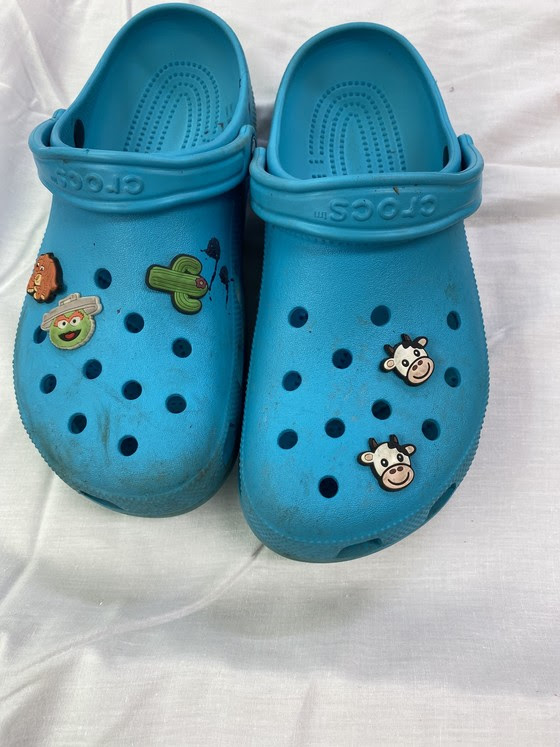 ky-suspic-death-crocs
