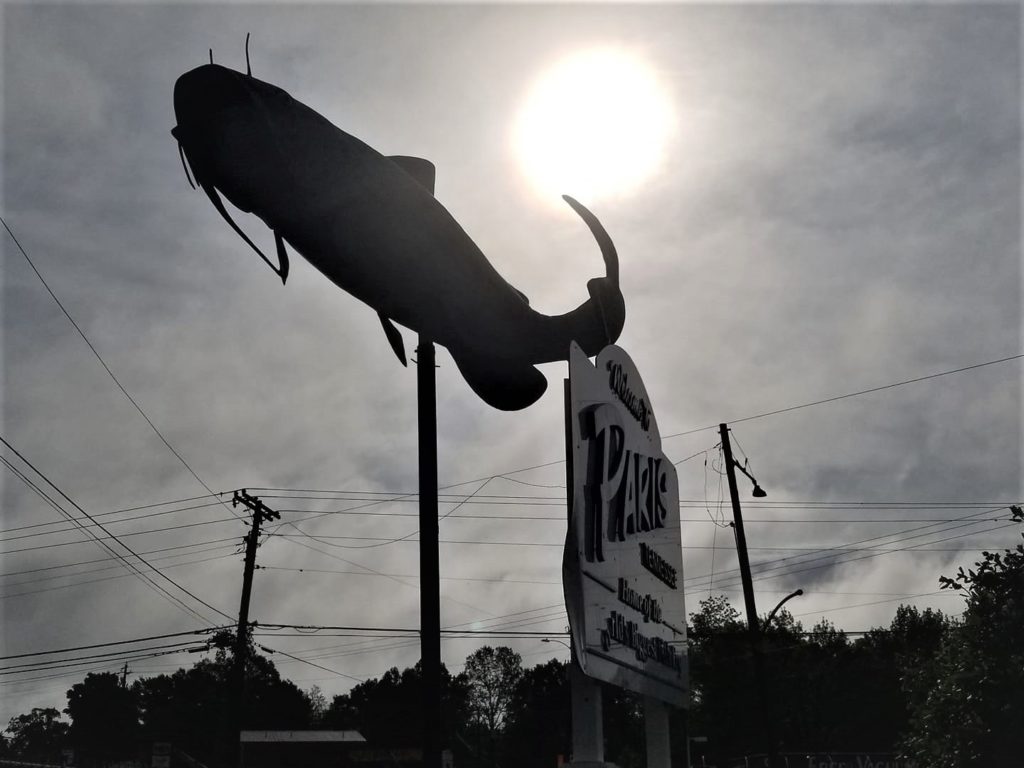 Paris' Giant Catfish Still Standing radio NWTN