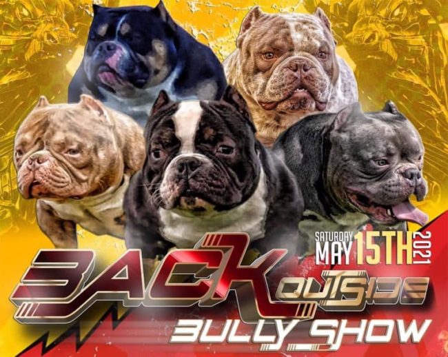 Central Coast Bully Show