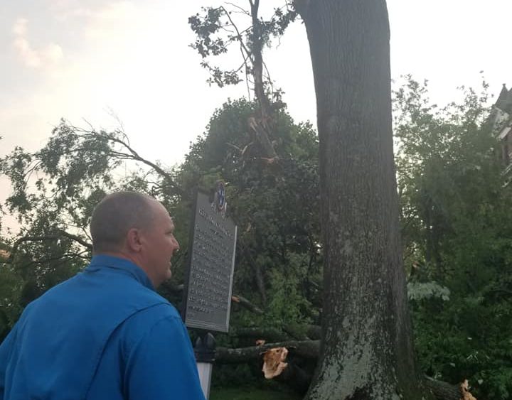 cth-trees-john-p-look-over