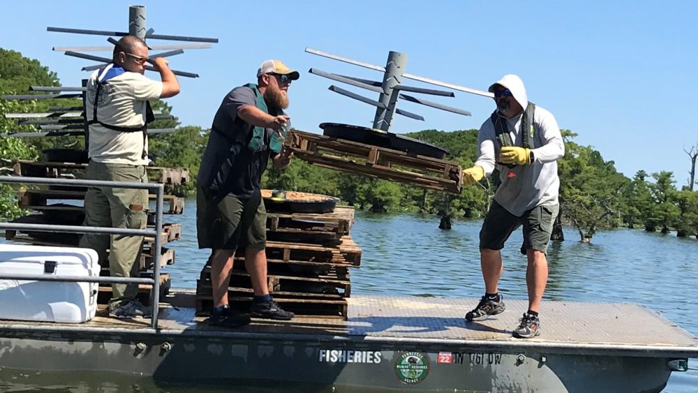 twra-fisheries-reelfoot