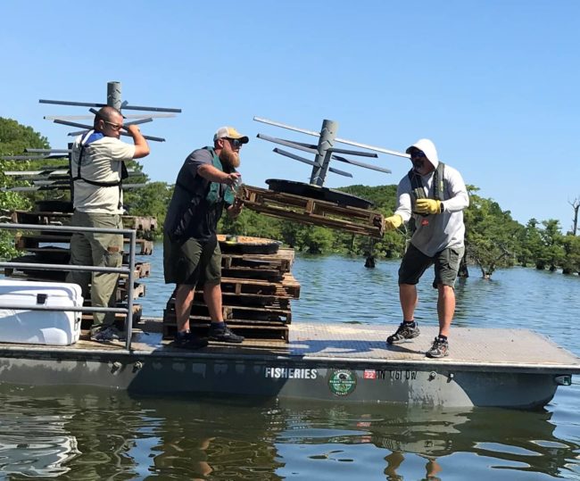 twra-fisheries-reelfoot