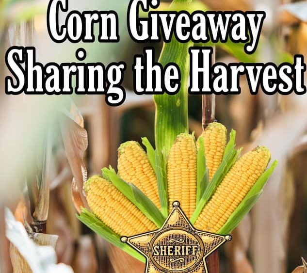 benton-co-corn-2
