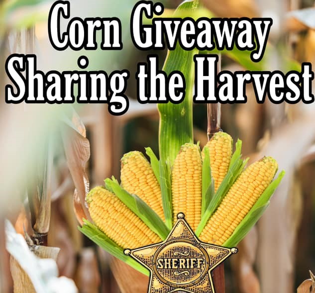 benton-co-corn-2