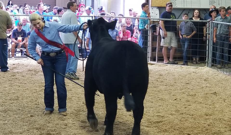 sarah-cate-orr-2019-w-champion-steer