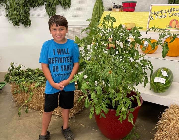 fair-drew-shepherd-w-jeffrey