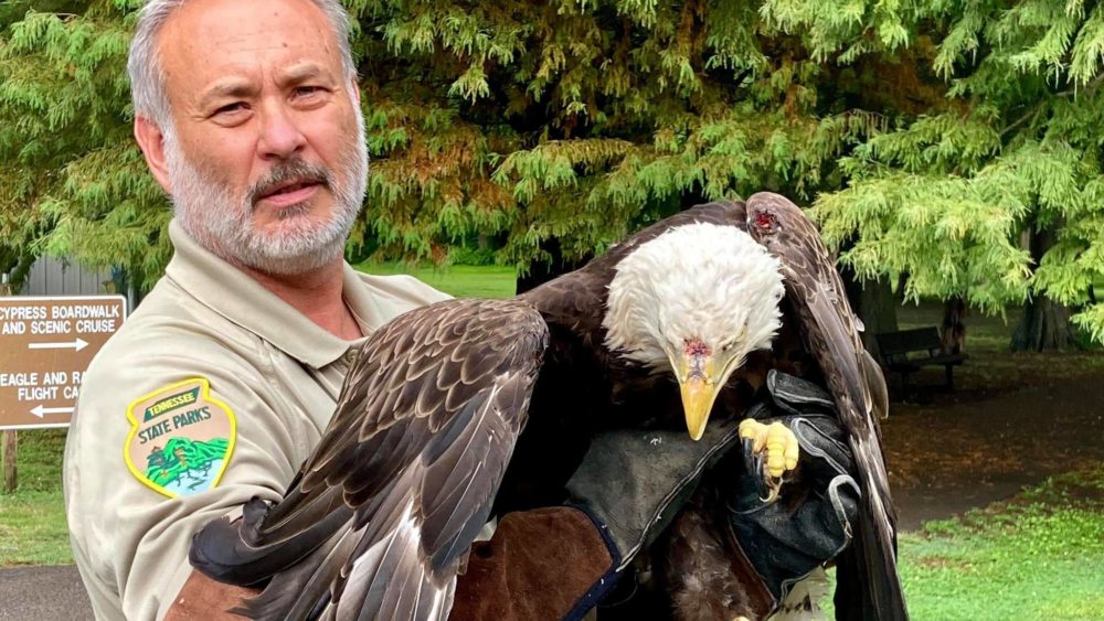 pl-eagle-w-david-h
