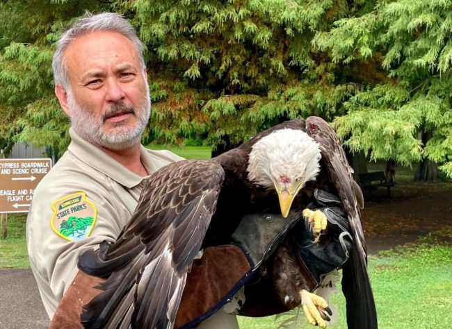 pl-eagle-w-david-h
