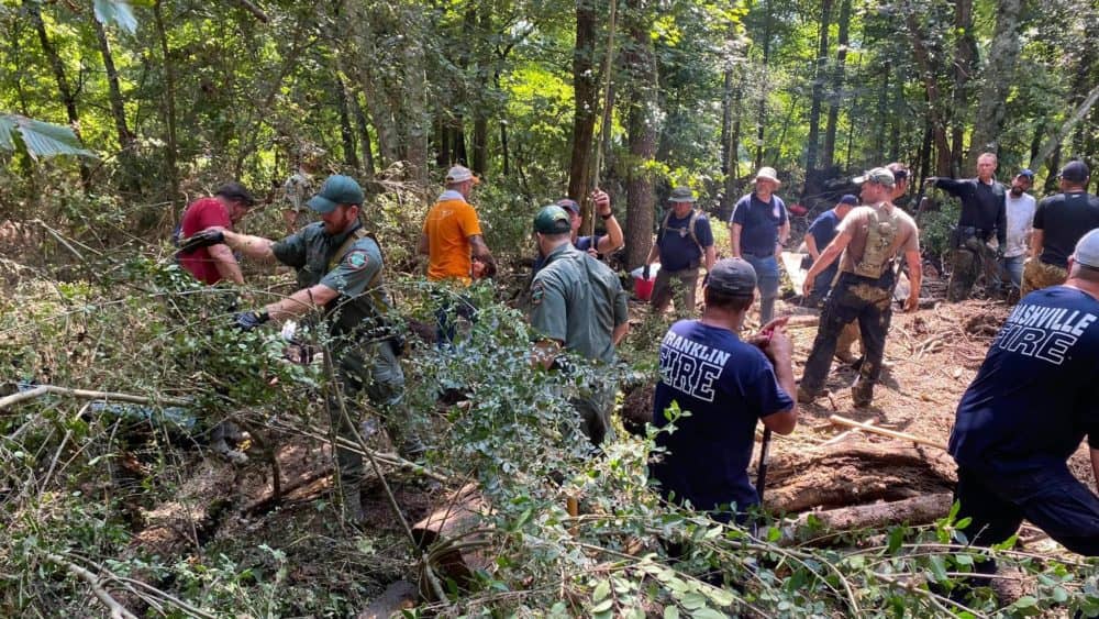 waverly-humphreys-co-search