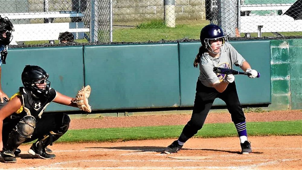 ucms-sb-cross-bunting