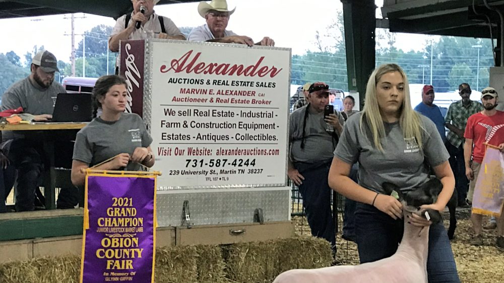 oc-fair-grand-champ