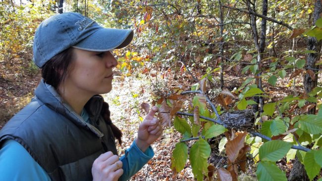 refuge-naturalist-jennifer-stevens