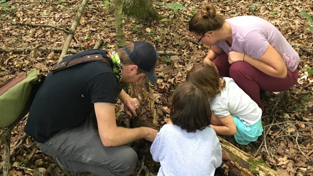 bioblitz