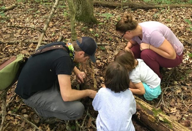 bioblitz
