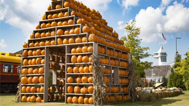 dpa-pumpkin-village