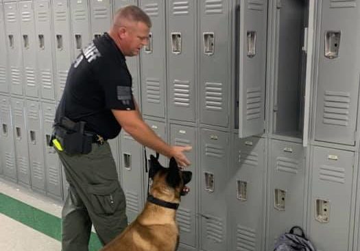 stew-co-k9