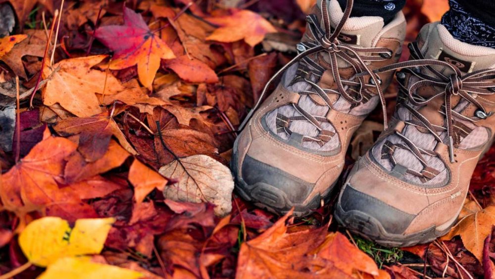 after-thanksgiving-hike3__hero