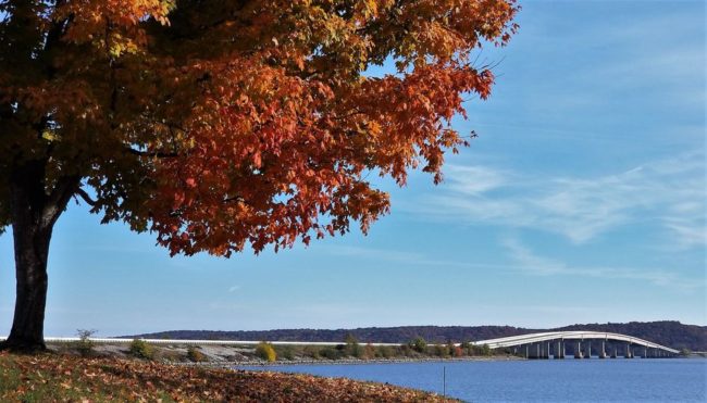pl-bridge-in-fall
