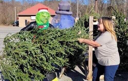 stewart-co-grinch-stealing