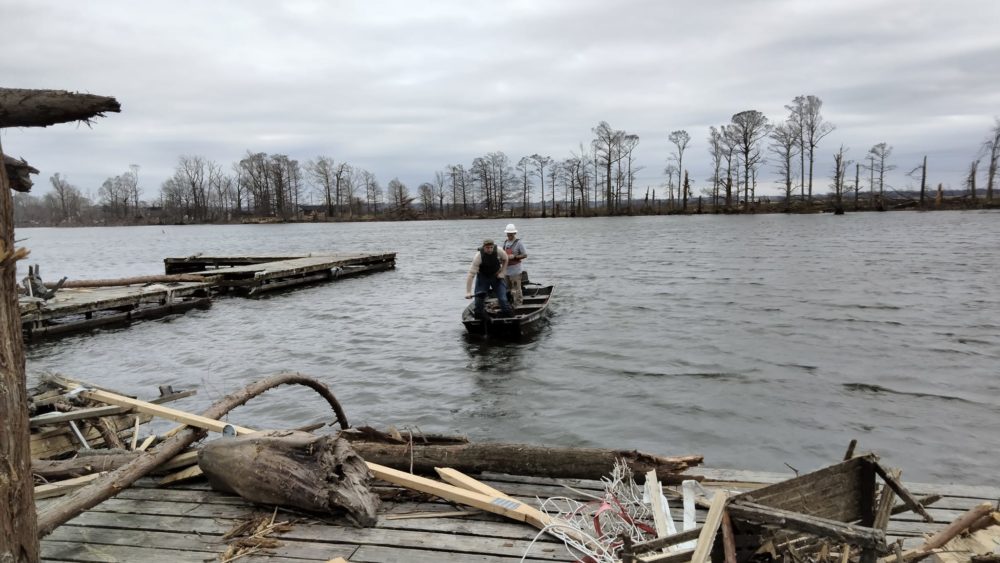 reelfoot-search