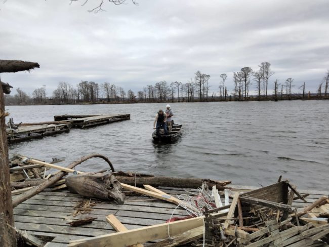 reelfoot-search