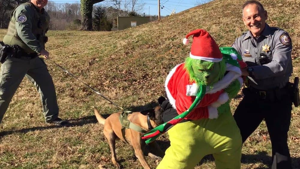 stew-co-grinch-apprehended-2