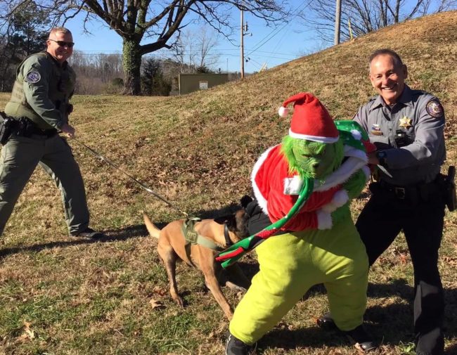 stew-co-grinch-apprehended-2