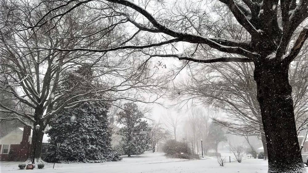 whitehall-in-snow-today-jn-6