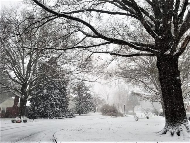 whitehall-in-snow-today-jn-6