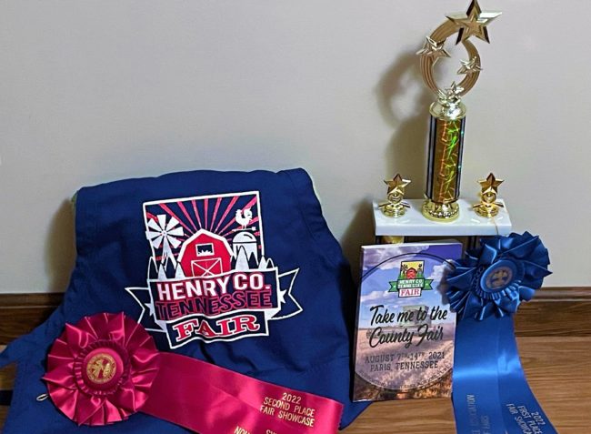 hc-fair-award