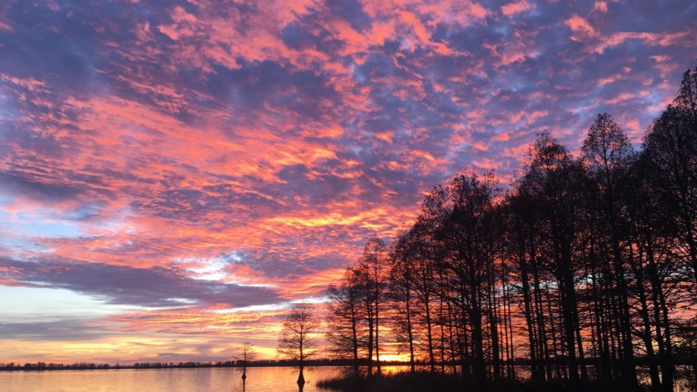 reelfoot-lake-state-parks-pic