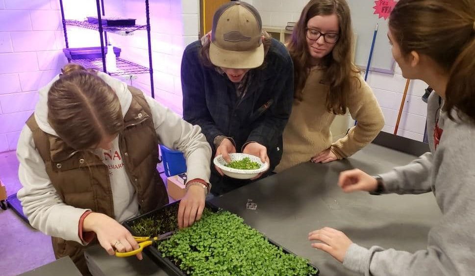 paris-ffa-micro-greens-2-crop