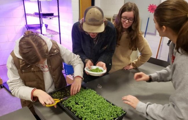 paris-ffa-micro-greens-2-crop