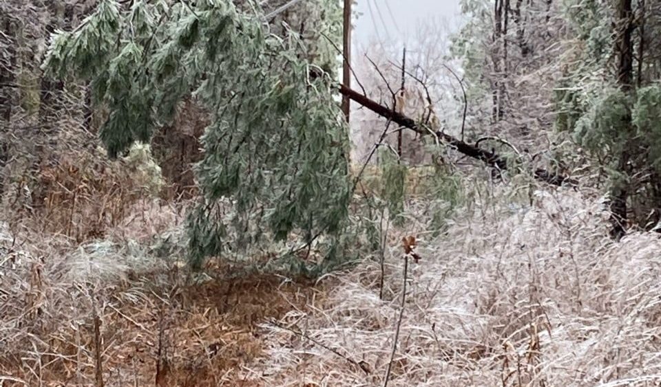 gibson-co-ice-feb-3
