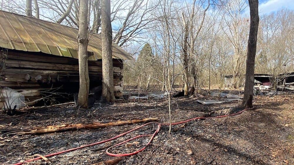 henry-brush-fire-henry-mansfield-2-crop